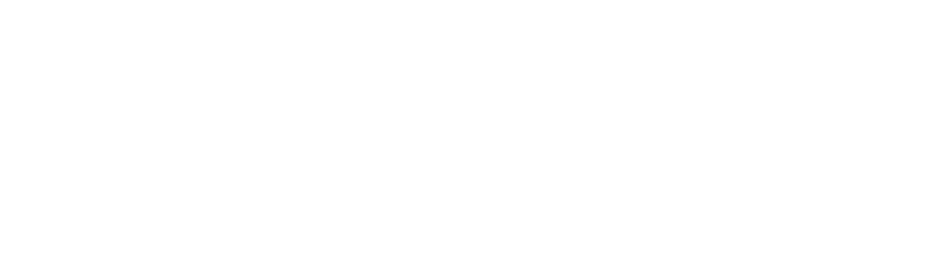 bsi