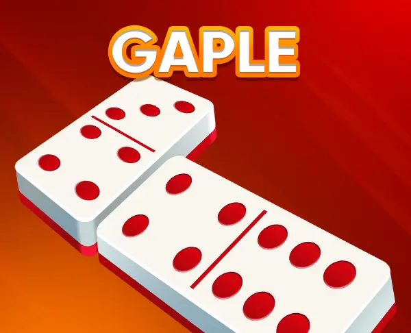 capsa Susun