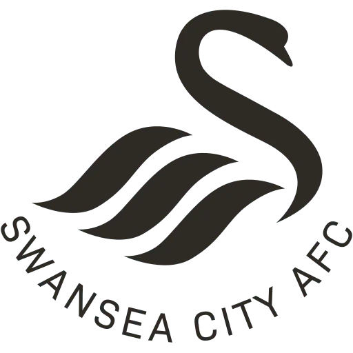 Swansea City